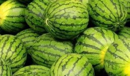 吃瓜网51官网版 吃瓜网每日大赛,每日大赛精彩纷呈，带你领略吃瓜盛宴