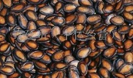 热门大瓜子,零食界的明星产品